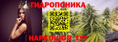 гидропоника Ливны