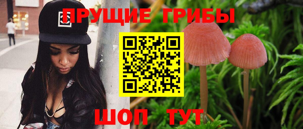Псилоцибиновые грибы Psilocybine cubensis Воронеж